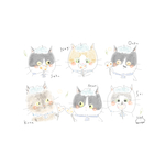 専用ページ