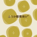 ふうか様専用☆*ﾟ