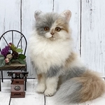 羊毛フェルト　洋猫　キャリコロングヘアー　スコティッシュ　ブリティシュ
