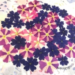 ♡new♡作家様必見♡ 人気のバーベナがいっぱい♡ 押し花セット