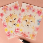 水彩画ポストカード柴犬2枚（お花と豆柴イラストカード）、売上の一部は犬猫のための寄付になります