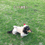 ♡サイズ調整カート♡