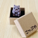 ウォンバットの『おぐら』さん