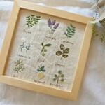 植物の標本　刺繍フレーム　壁掛け　