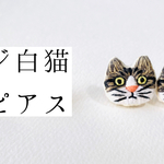 キジ白猫のピアス