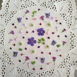 押し花素材　No970　ミックスセット