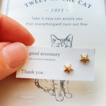 ぷっくり星ピアス　樹脂ピアス