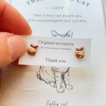 大リンゴピアス　樹脂ピアス
