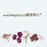 maitake90210様専用☆*ﾟ