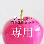 【3着セット】フェレット コスプレ 服【恐竜】