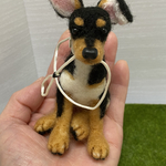 散歩でもいいよ　ミニチュアピンシャー