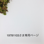 19781103さま専用ページ