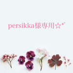persikka様専用☆*ﾟ
