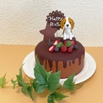 ワンにゃんバースディケーキ ［ベリーなチョコレートケーキ風］粘土細工の置物［インテリア 飾り］ 