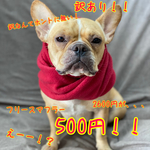 訳あり‼️在庫限り‼️あったかスヌード♡フリースマフラー💕