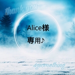 Alice様専用ページです♪︎