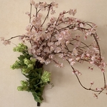 桜スワッグ