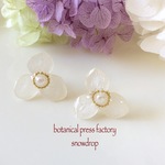 snow white pierce type A
