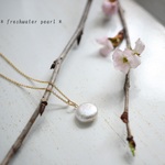 ＊14kgf＊貝が作ってくれた芸術品＊コイン型淡水パールの一粒ネックレス＊卒業式＊入学式