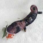 オオサンショウウオ ぬいぐるみⅡ　補食！セット 黄昏