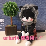 uriuri4様専用✩.*˚ソックキャット