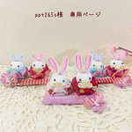 ＊ppt265s様　専用ページ＊
