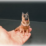 羊毛フェルト シェパード  オーダー分