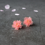 春を迎える緋桜