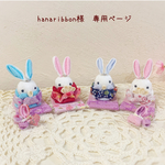 ＊hanaribbon様　専用ページ＊