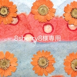 8sherry8様専用