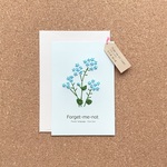 ⭐️popo-0428様専用⭐️6月のバスデーカード ワスレナグサの花言葉ポストメッセージカード・壁掛け インテリア 誕生日