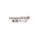 【ご注文品】前あき長袖スモック2点セット