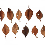 レザーブローチ【fallen leaves】type.10