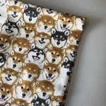 コットン生地　ハスキー犬