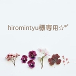 hiromintyu様専用☆*ﾟ