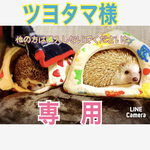 ツヨタマ様専用
