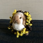 〜ひょっこりうさぎさん〜【訳あり】 うさぎ 羊毛フェルト 壁飾り リース 壁掛け  ホーランドロップ ミニうさぎ ロップイヤー ブロークンオレンジ