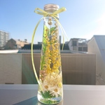 ハーバリウム☆春のお花✨たっぷりミモザのハーバリウム 円錐形テーパーボトル✨プレゼントにも☆
