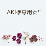 AKI様専用☆*ﾟ