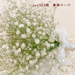 ＊ppt265s様　専用ページ＊