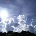 ステンレスチェーン✧オーロラクリスタライズ☆スワロフスキー ロングドロップ・海賊うさぎ