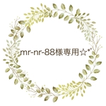 mr-nr-88様専用☆*ﾟ