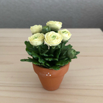 ラナンキュラスの花鉢  f