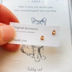 小さいカバンピアス　樹脂ピアス