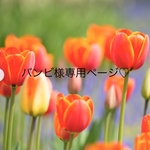 バンビ様専用ページです♡  ご注意ください🙇🏻‍♂️