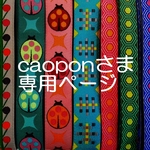 caoponさま専用お取り置きページ