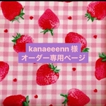 kanaeeenn様オーダー専用ページ