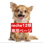 こちらは専用ページ　　パステル