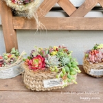  《新作》2月20日までの出品です＊・○手の平サイズ　多肉植物のmini 寄せ植え⚪︎・.＊