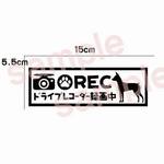 ミニチュアピンシャー ミニピン ドライブレコーダー ドラレコ シルエット ステッカー 犬 車